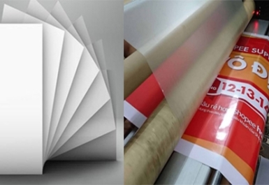 Decal PP và giấy Couche – Nên chọn loại nào? 