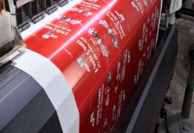 Tư vấn chọn vật liệu: PP, decal hay hiflex? 