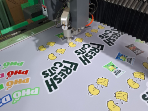 In & cắt decal trọn gói – Giải pháp tiết kiệm cho doanh nghiệp